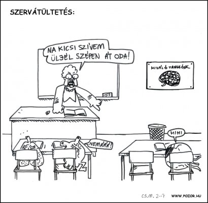 szervezkedes.jpg