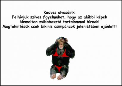 001.JPG