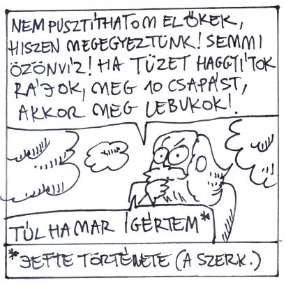 05.jpg