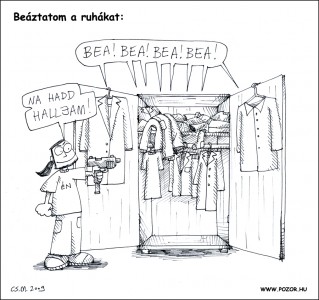 beazas beazas