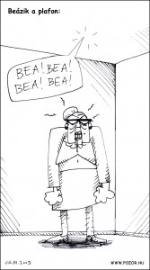 beazascvo beazascvo