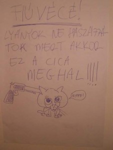 cicadaaaj