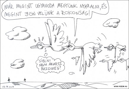 vadkacsas