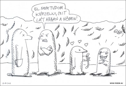vakondos