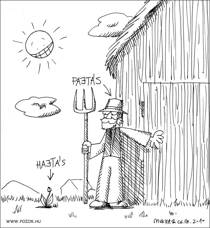 pajtas pajtas