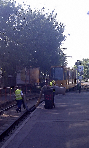 kukaszivo-1